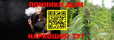 сатива Новодвинск