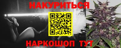 сатива Новодвинск
