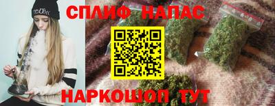 сатива Новокубанск