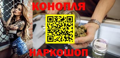 сатива Новодвинск
