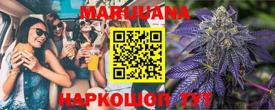 сатива Новокубанск