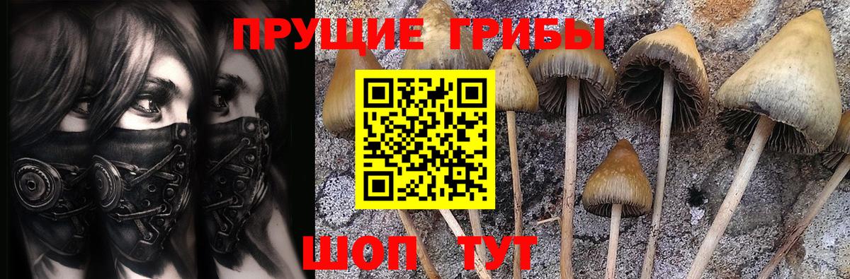 Псилоцибиновые грибы мухоморы Новокуйбышевск