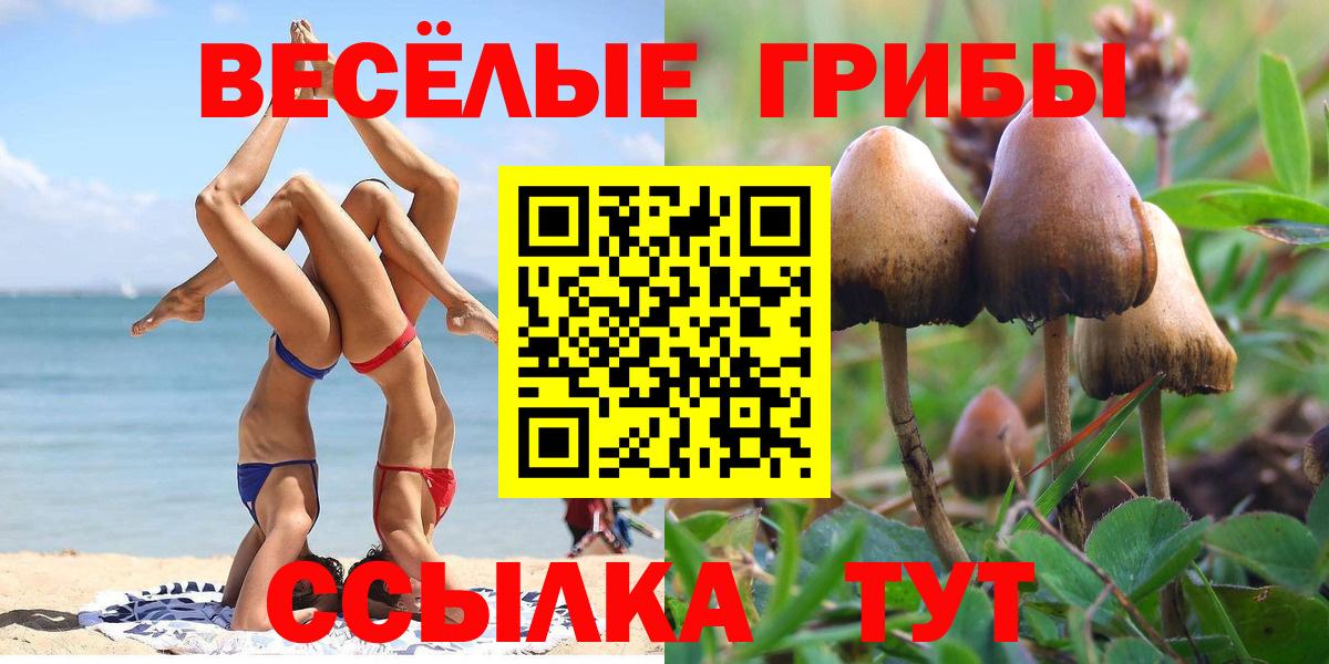 цена наркотик  Вход с VPN  Галлюциногенные грибы прущие грибы  Новокуйбышевск  Галлюциногенные грибы ЛСД 